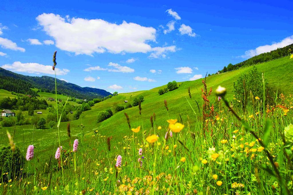 Wohlfuehlpension Kreischberg Inklusive Murau Sommergaestecard Ab 2 Naechte Sankt Georgen ob Murau Εξωτερικό φωτογραφία